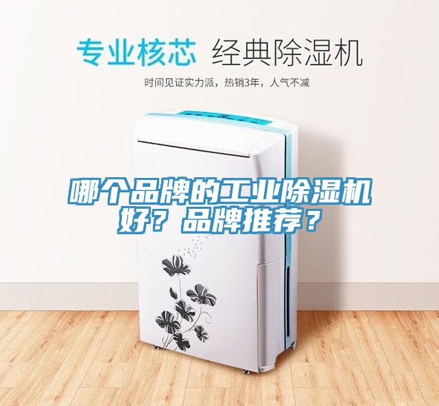 哪個品牌的工業除濕機好？品牌推薦？