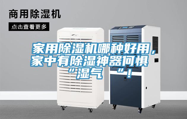 家用除濕機哪種好用，家中有除濕神器何懼 “濕氣 “！