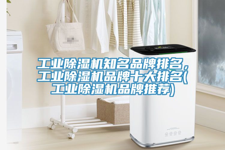 工業除濕機知名品牌排名，工業除濕機品牌十大排名(工業除濕機品牌推薦)