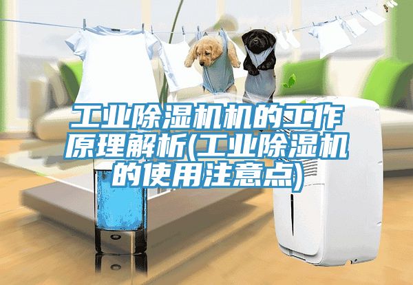 工業(yè)除濕機機的工作原理解析(工業(yè)除濕機的使用注意點)