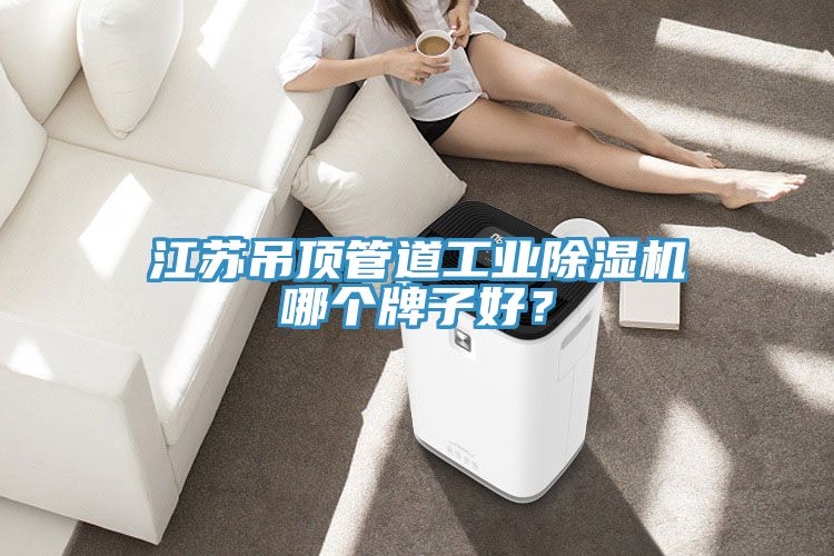 江蘇吊頂管道工業(yè)除濕機哪個牌子好？