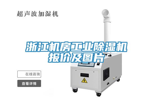 浙江機房工業除濕機報價及圖片