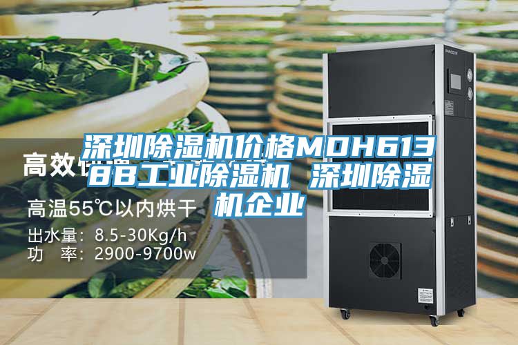 深圳除濕機(jī)價(jià)格MDH6138B工業(yè)除濕機(jī) 深圳除濕機(jī)企業(yè)