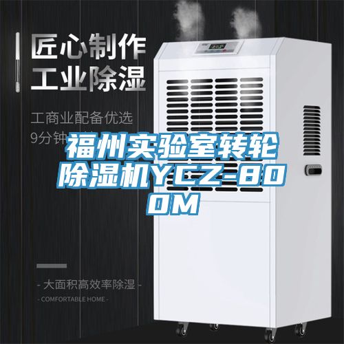 福州實驗室轉(zhuǎn)輪除濕機YCZ-800M